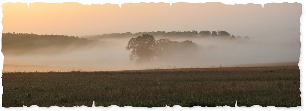 The Polish nature